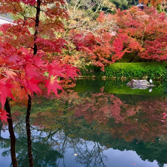 【観光情報2019】秋の南禅寺・永観堂