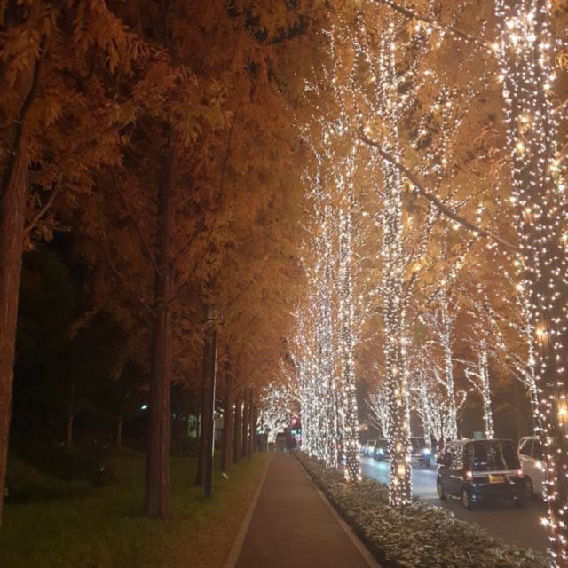 京都おすすめイルミネーション