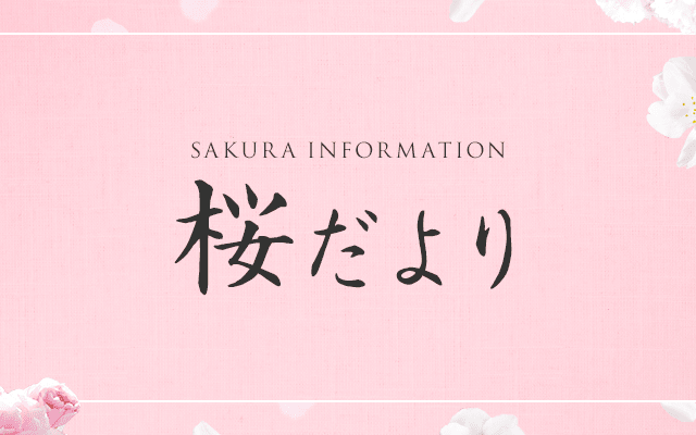 「桜だより」のご紹介(京都市観光協会提供)