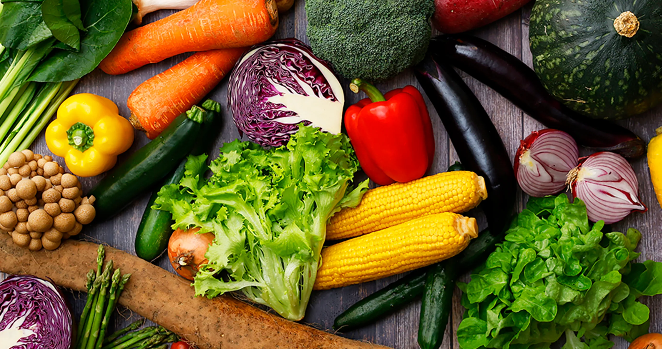 提携生産者様のご紹介