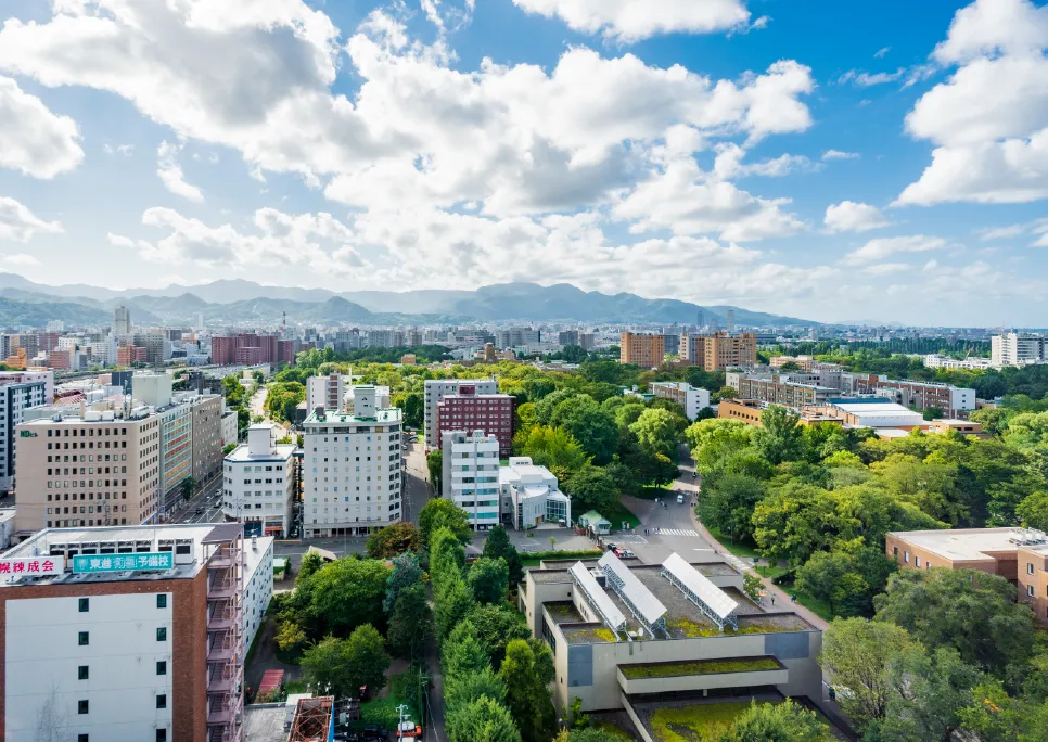 コンフォートツイン